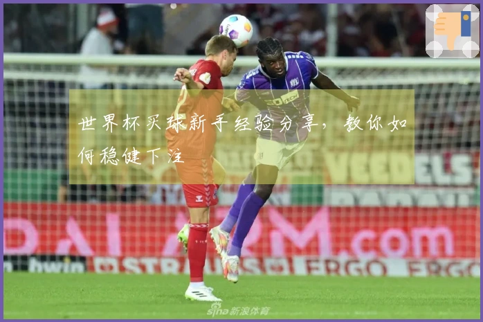 世界杯买球新手经验分享，教你如何稳健下注