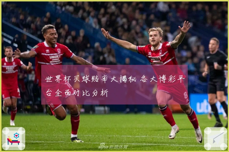 世界杯买球赔率大揭秘 各大博彩平台全面对比分析