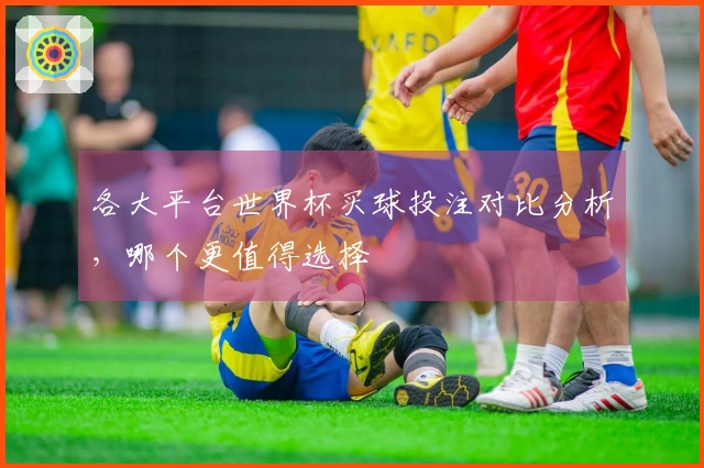 各大平台世界杯买球投注对比分析，哪个更值得选择