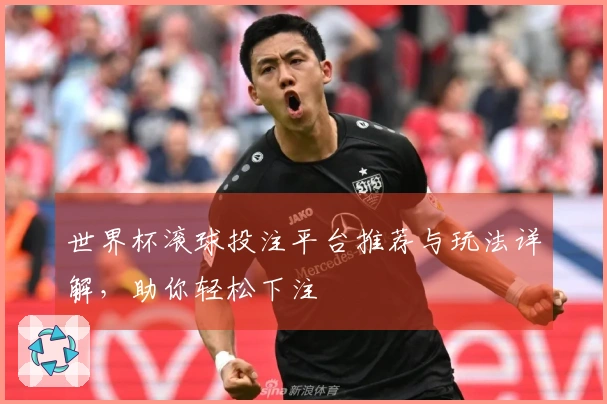 世界杯滚球投注平台推荐与玩法详解，助你轻松下注