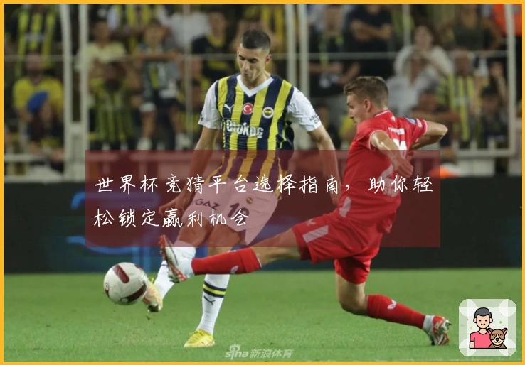 世界杯竞猜平台选择指南，助你轻松锁定赢利机会