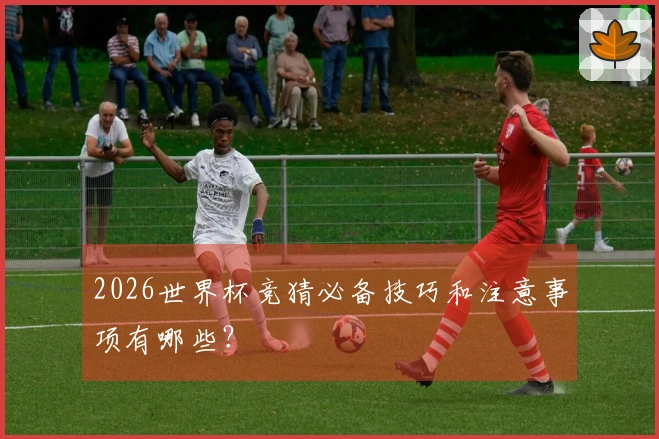 2026世界杯竞猜必备技巧和注意事项有哪些？